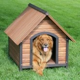 Precision Outback Country Lodge Dog House 